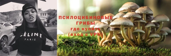 сатива Краснотурьинск