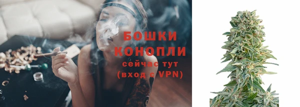 прущие грибы Красноперекопск