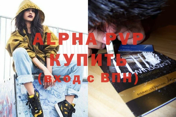 винт Лагань
