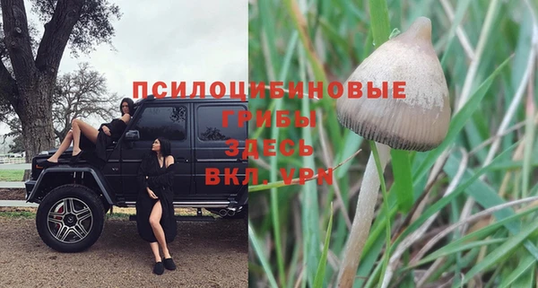 Альфа ПВП Краснослободск