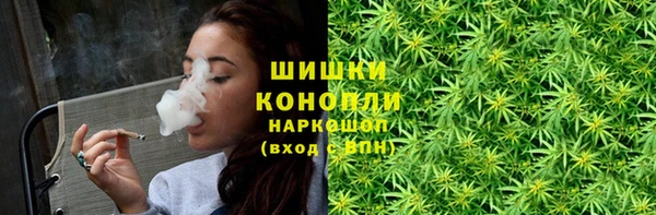 прущие грибы Красноперекопск