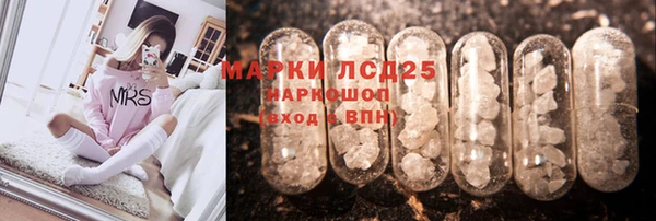 прущие грибы Красноперекопск
