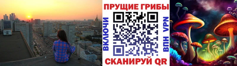 Псилоцибиновые грибы прущие грибы  наркошоп  Котельнич 